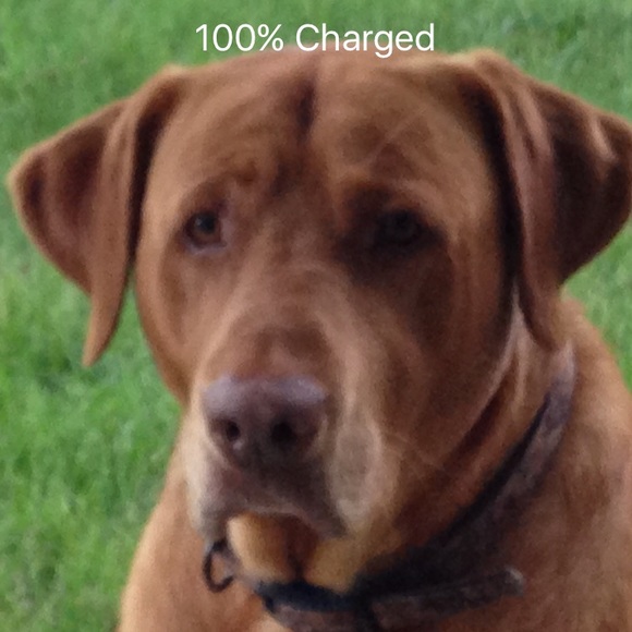 Meet your Posher, Terri - Picture 1 of 1